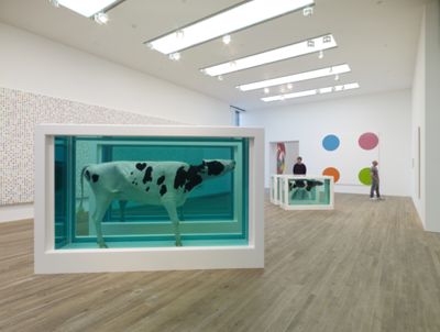 Mother and Child (Divided) by Damien Hirst
