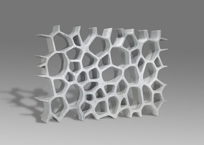 Voronoi shelf  by Marc Newson