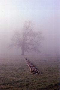 Tame Buzzard Line by Richard Long