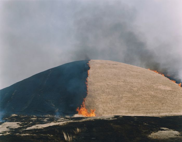 Untitled (AT15), from the series Ametsuchi, by Rinko Kawauchi