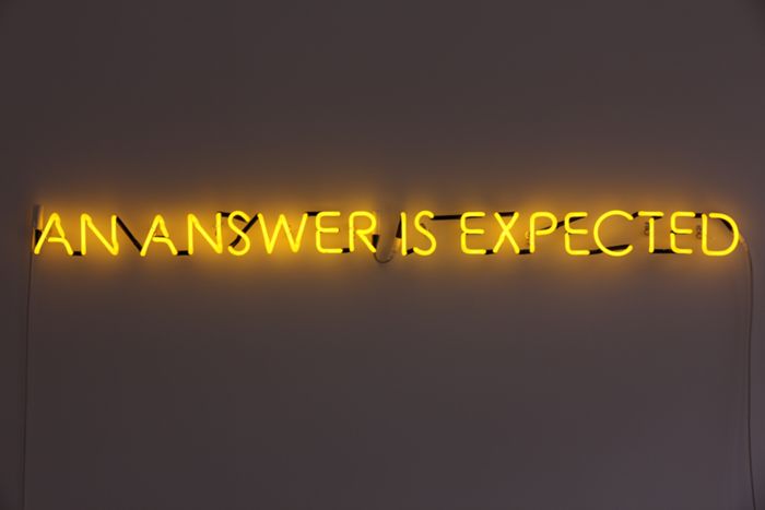 AN ANSWER IS EXPECTED by Susan MacWilliam