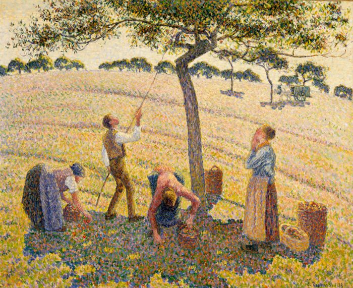 Apple Harvest, by Camille Pissarro