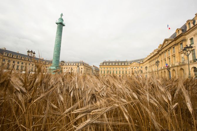 Blés Vendôme by Gad Weil