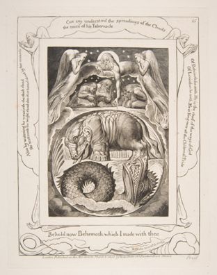 Behemoth and Leviathan ﻿from Illustrations of the Book of Job by William Blake