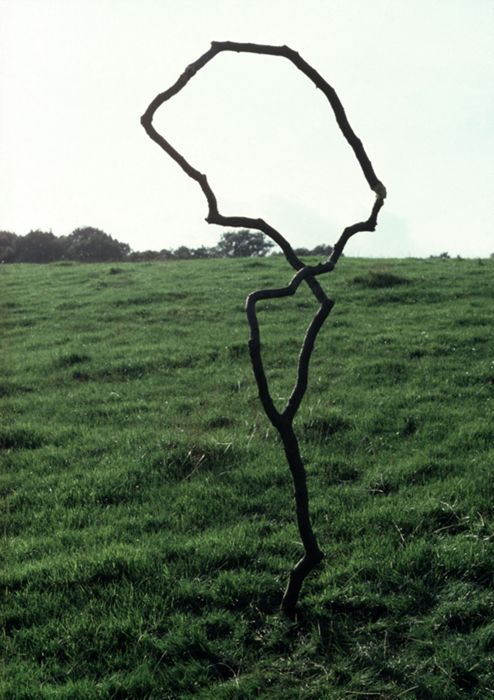 Two forked branches and twig. Ilkley Moor, Yorkshire. September 1978 by Andy Goldsworthy
